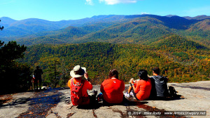 View From Looking Glass Rock, NC